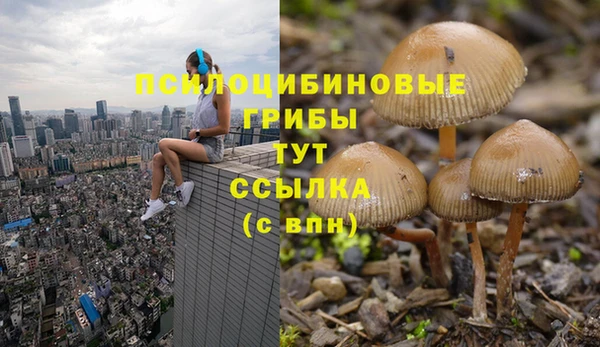 круглые Алзамай