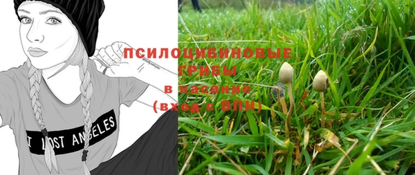 круглые Алзамай