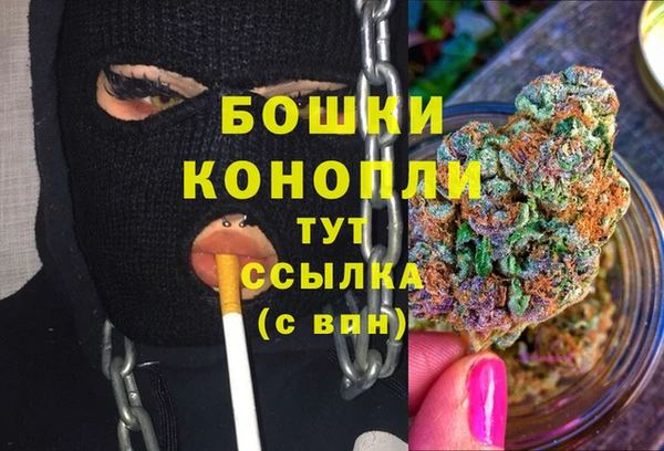 прущие крисы Арсеньев