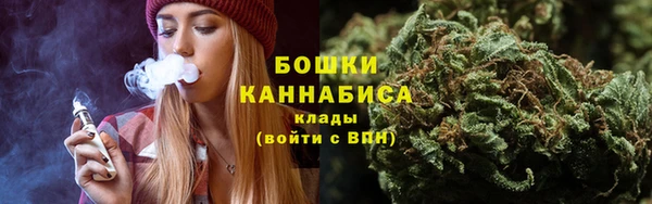ПСИЛОЦИБИНОВЫЕ ГРИБЫ Алексин